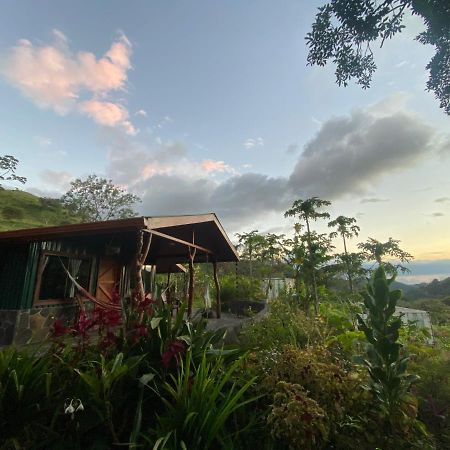 Chorotega Cabina Hotel Monteverde Luaran gambar